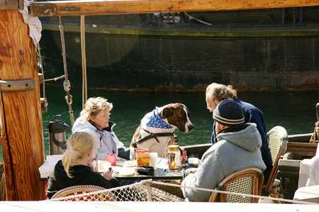 Having lunch with the family dog. Copenhagen, Denmark